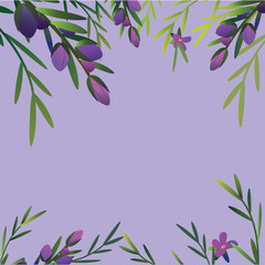 lavender background frame