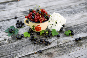 A cup of fresh berries on a gray wooden table. Red and black currant with green leaves and flower. Top view. 