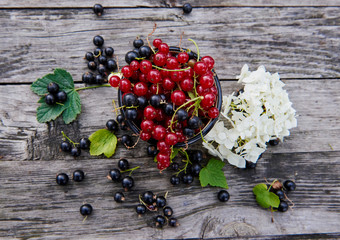 Fresh berries on a gray wooden table. Red and black currant with green leaves. Delicious vitamins in nature. 
