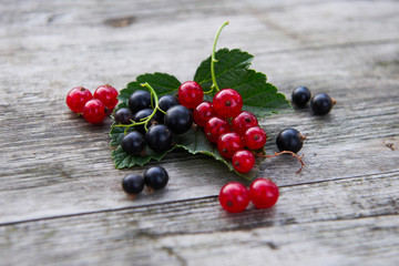 Fresh berries on a gray wooden table. Red and black currant with green leaves. Delicious vitamins in nature. 