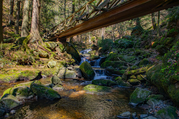 Creek Splash under the Bridge