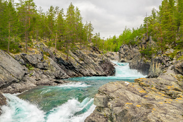 Mountain wild river valley landscape. Mountain river flowing through the green forest. Panoramic view of the mountain river. Raging mountain river in green valley. Norway nature and travel background.