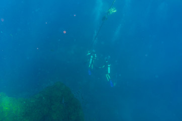 Scuba diving water sport activity