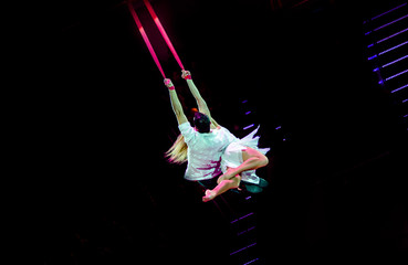 Air gymnasts performs at the circus 