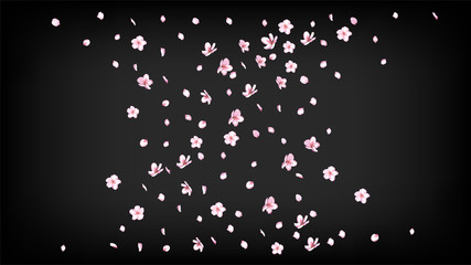 Nice Sakura Blossom Isolated Vector. Magic Flying 3d Petals Wedding Paper. Japanese Beauty Spa Flowers Wallpaper. Valentine, Mother's Day Beautiful Nice Sakura Blossom Isolated on Black