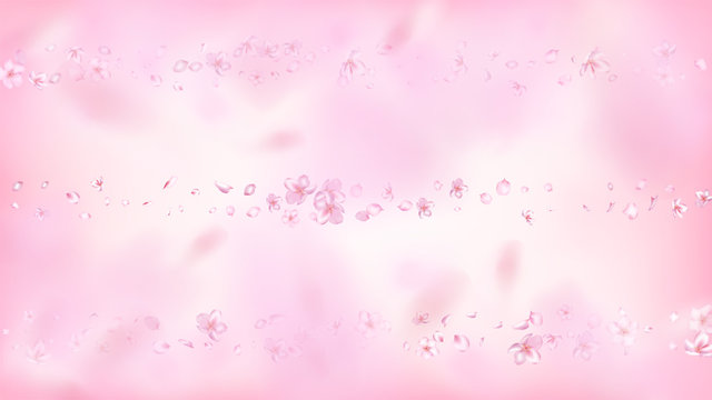 Nice Sakura Blossom Isolated Vector. Realistic Showering 3d Petals Wedding Frame. Japanese Blurred Flowers Wallpaper. Valentine, Mother's Day Beautiful Nice Sakura Blossom Isolated on Rose