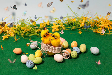 Primavera in fattoria con pulcini,api e farfalle