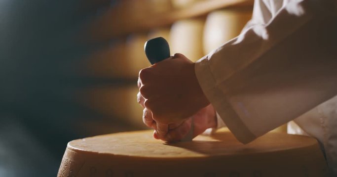 Slow motion close up of a cheesemaker is controlling the seasoning of Parmesan cheese, which was maturing by ancient Italian tradition for many months.