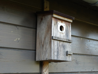 Vogelhäuschen aus Holz
