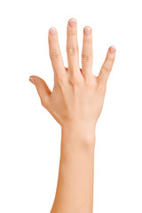 Obraz premium Female hand gestured.