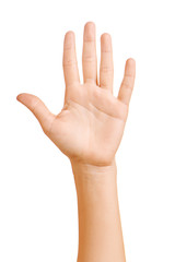 Female hand gestured.