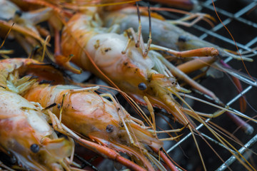 Big sea shrimp grilled on fire