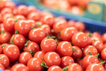 Delicious red tomatoes on a market with blurred background.