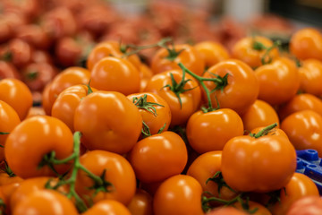 Delicious yellow tomatoes on a market with blurred red tomatoes on background.