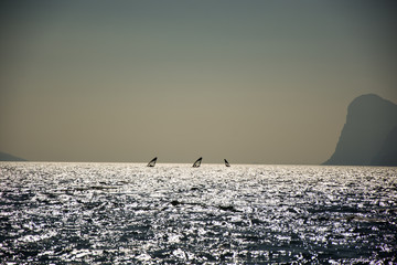 Surfer Torbole Gardasee