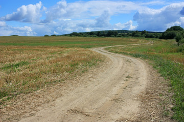 Fototapeta na wymiar Country empty road in the field