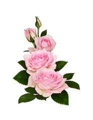 Pink rose flowers with green leaves in a corner arrangement