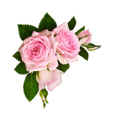 Pink rose flowers with green leaves in a corner arrangement