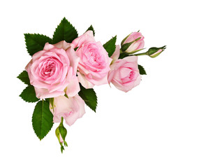 Pink rose flowers with green leaves in a corner arrangement