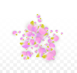 Obraz na płótnie Canvas Vector Realistic Pink Petals Falling on Transparent Background. Spring Romantic Flowers Illustration. Flying Petals. Sakura Spa Design. Blossom Confetti.