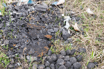 Old extinct bonfire. Danger of forest fire