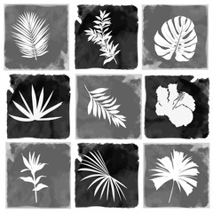 Monotone black white and grey watercolor paint with exotic plant silhouette leaves seamless pattern in vector design
