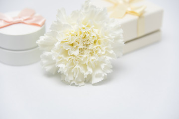 プレゼント　ギフト　白いカーネーショ