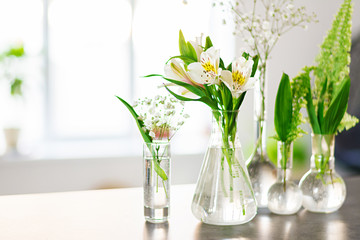 Beautiful spring flowers in a vases on light background