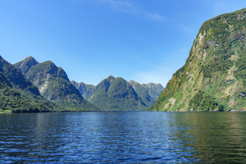 boat trip in the fjord, doubtful sound, fjordland, new zealand 6