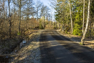 Amazing view over spring forest with green trees on blue sky with white clouds background. Green yellow trees and road. Gorgeous nature backgrounds