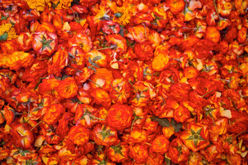 red colored flower background