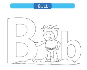 Letter B and funny cartoon bull. Animals alphabet a-z. Cute zoo alphabet in vector for kids learning English vocabulary. Coloring page.