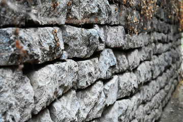 rocks