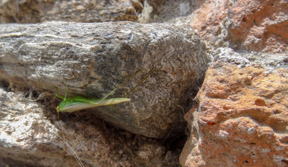 Beautiful Colonia del Sacramento, Uruguay