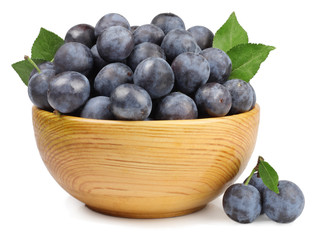The fruits of blackthorns in a cup isolated on white