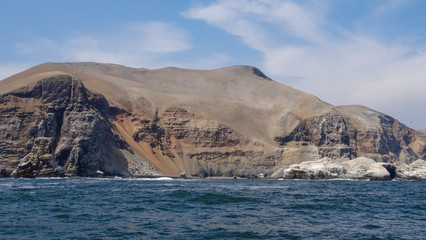 Fototapeta na wymiar Sea lions on the islands Palomino, excurison in Peru