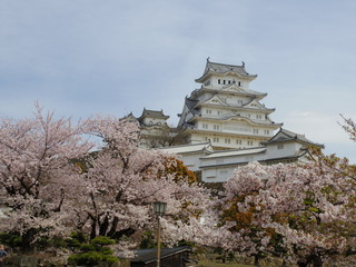 世界遺産の姫路城