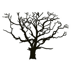 Old tree silhouette