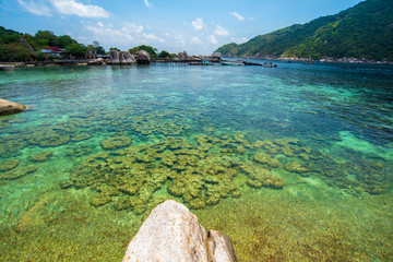 Tropical Sea,beautiful View Koh-Nangyuan Suratthani thailand 