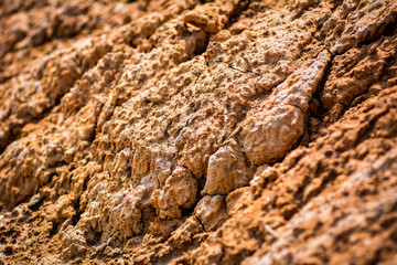 cracked soil ground ,desert cracks, Dry soil Arid,drought land. Caused by global warming and deforestation.