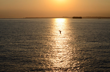 Naklejka premium 黄昏の海