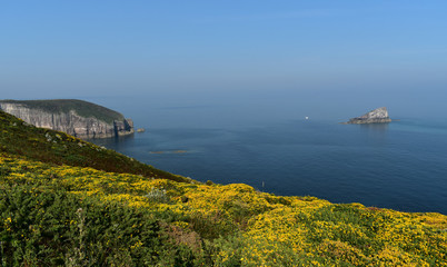 Bruyère en fleurs, falaises, rocher et océan, toute la magie de la Bretagne
