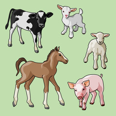 Baby farm animals. Cubs. Realistic illustration with contour stroke.