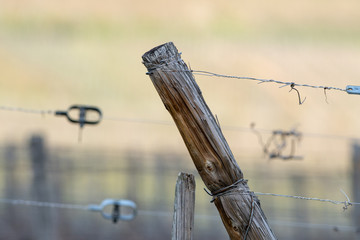 La tension des fils de fer dans les vignes d'Alsace