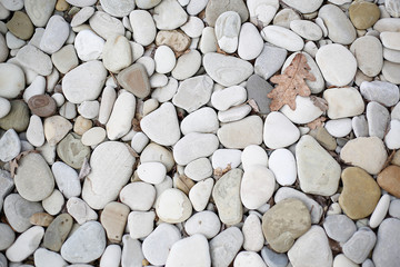 Large sea pebbles on the coast close-up.Texture.Background.