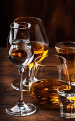 Strong Spirits Set. Hard alcoholic drinks in glasses in assortment: vodka, cognac, tequila, brandy...