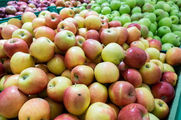Red and green apple fruits in a supermarket