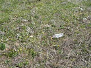 Plastic bottle waste in the forest in spring. Plastic pollution concept