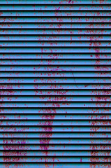 Obraz premium Background texture of old rusty damaged metal. Remains of multi-colored paint on an iron sheet.Jalousie.