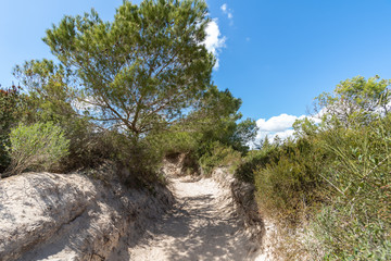 Es Trenc | Mallorca | Spanien